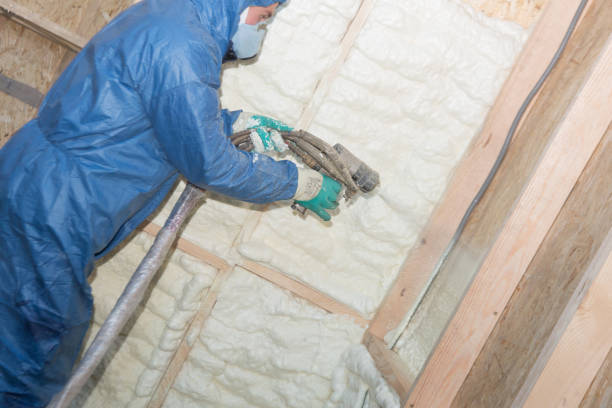 Village Green Green Ridge, PA Insulation Installation & Removal Company